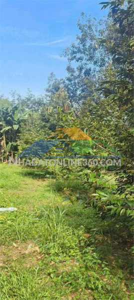 Cơ hội đầu tư sinh lời - bán lô đất xã cam thành bắc, cam lâm, khánh hòa