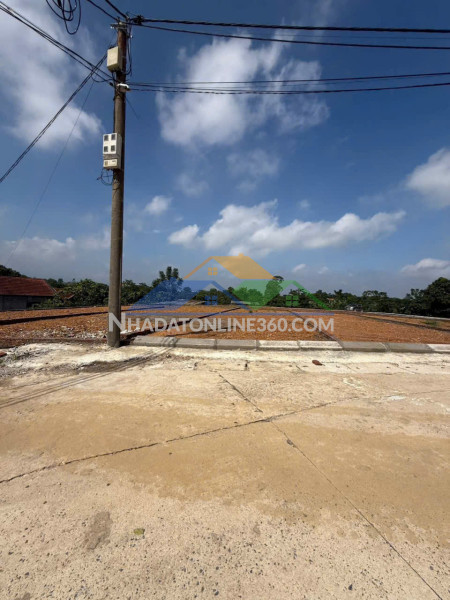 Bán đất cẩm lĩnh, ba vì-238m-giá chỉ 1,22 tỷ