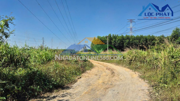 Bán đất Phường Trảng Dài Đồng Nai 2,6ha giá 37 tỷ.