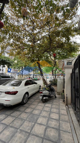 Vương thừa vũ 47m, ô tô đỗ cửa, pháo đài thế kỷ, ngôi...