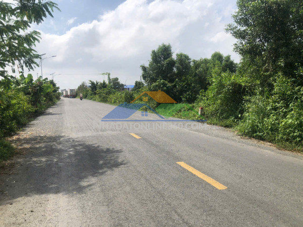 Siêu rẻ: bán đất dt: 7245.9m2 sổ hồng tại mặt tiền đường hộ phòng- gành hào, đông hải, bạc liêu