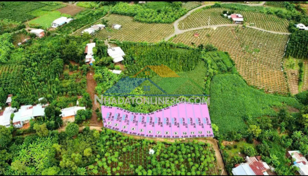 E cần bán sỉ lốc xuân sơn giá đầu tư . 15 ngày nữa có sổ . e cho cọc 40 ngày công chứng ạ