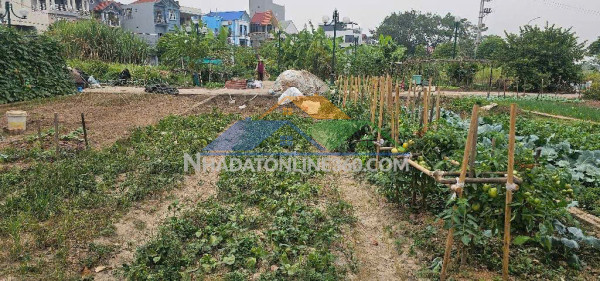 Hiếm- bán dinh thự hàm rồng ngọc lâm- dân xây- lô góc- oto- full...