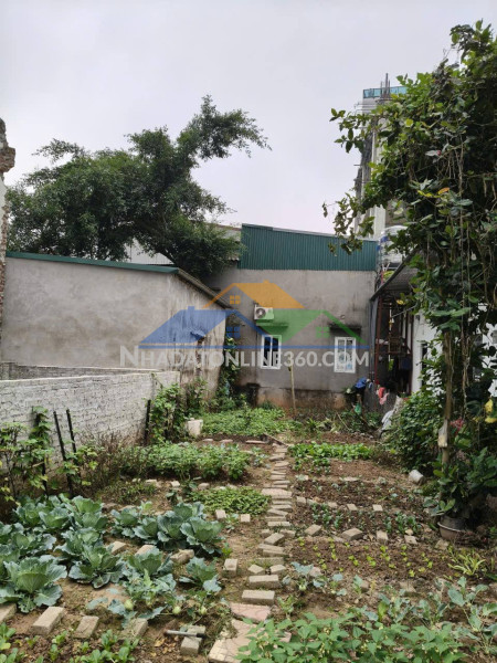 Đất bắc hồng, 99m2, mt5m, 2 ô tô tránh, bìa làng, 10 tỷ. đông anh.