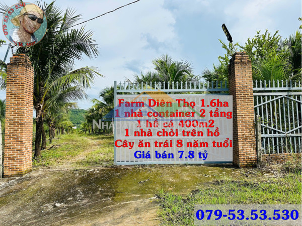 Bán farm nghĩ dưỡng diên thọ khánh hfoa 1.6 ha giá 7.8 tỷ. zalo79-53.53.53o
