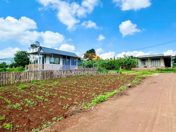 Nam ban-lâm hà dt 5*26m sẵn thổ cư sát địa phận đà lạt 12km view rừng thông chill chill mát mẻ giá chỉ 599tr