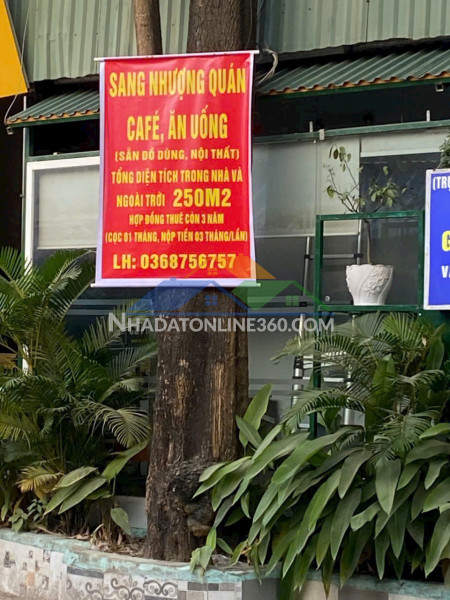 Chính chủ cần sang nhượng gấp quán cafe 250m² – mặt tiền 8m...