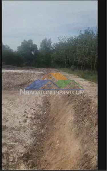 Đất chính chủ - giá tốt tại xã minh tân, dầu tiếng, bình dương nay xã long hòa, tp hồ chí minh