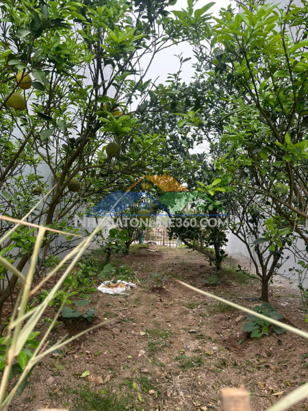 Bán đất cực đẹp oto tránh đồng phố, tân dân phú xuyên