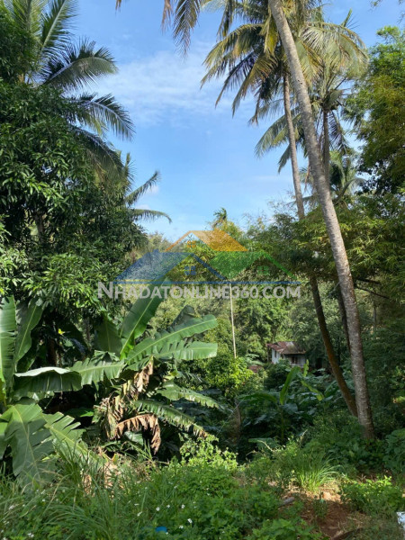 Giá tốt - chính chủ cần bán nhanh lô đất mặt tiền đường y jút, tp buôn ma thuột