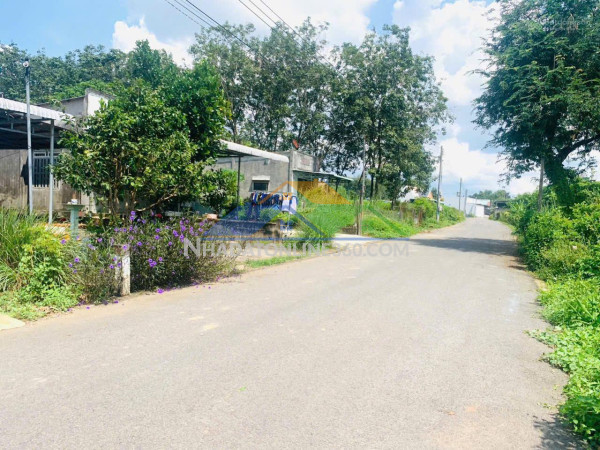 ???? chủ ngộp cần bán lô đất thổ cư - sẳn vườn bưởi mà...