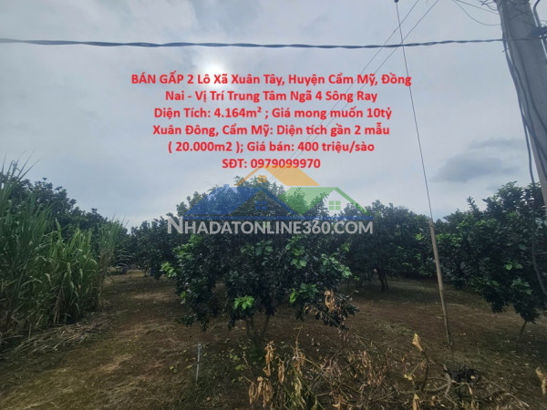 Bán gấp 2 lô xã xuân tây, huyện cẩm mỹ, đồng nai - vị trí trung tâm ngã 4 sông ray