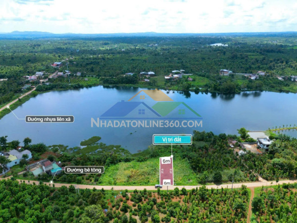 Ea tul- cư mgar dt 6991m2 2 mặt tiền đất nhựa giáp đường 130m đất full cà phê, sầu riêng tiêu cho thu giá nhỉnh 3 tỷ