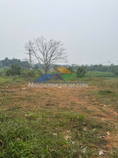 Sở hữu ngay lô đất đẹp - giá tốt - vị trí đắc địa tại xã yên bài, huyện ba vì, tphn