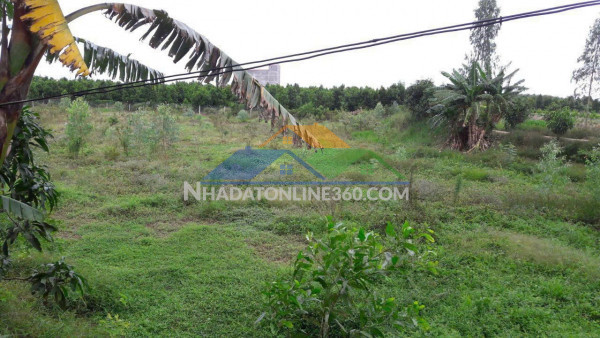 Đất đẹp- giá tốt cần bán nhanh nền thổ cư mặt tiền...