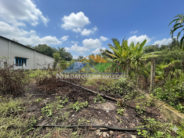 H1740 ???? đất nhị bình 15 hóc môn, shr, vuông, hxt, 13.2x82m, 14.x tỷ