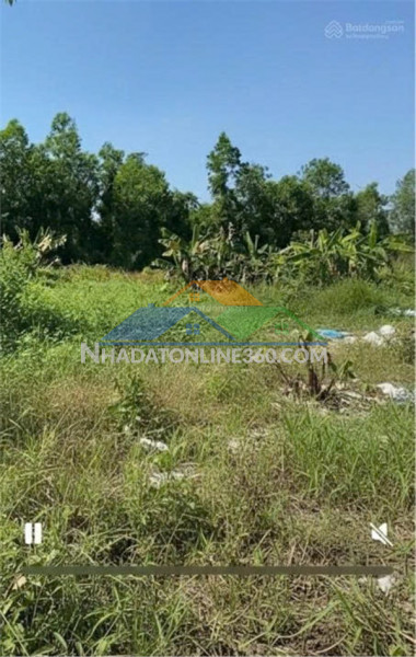 Cần cho thuê lô đất nông nghiệp để trồng trọt, chăn nuôi...