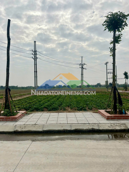 Bán đất đấu giá cống đầm cực đẹp, đại xuyên phú xuyên