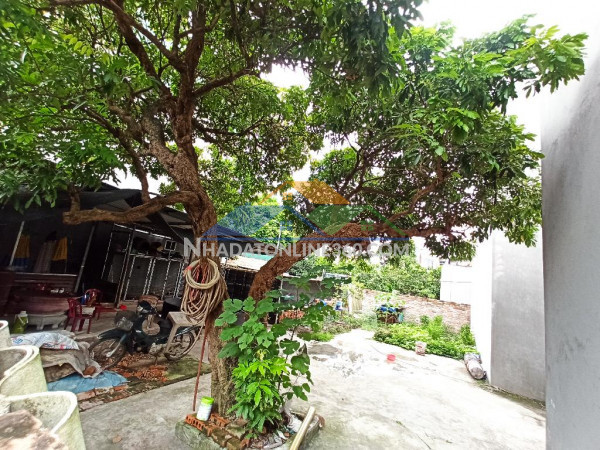 Bán đất hai mặt tiền trước sau, dương quang, gia lâm. cách 1 nhà ra ô tô.