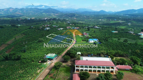 View hồ phúc thọ-lâm hà dt 1132m2 sẵn 100m2 thổ cư cách dt725 chỉ 2km kdc tiện ích xung quanh chưa tới 500m giá 850tr