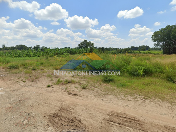 H1752 ???? đất thạnh xuân 52 hóc môn, shr, hxt, 41x55m, 14.x tỷ