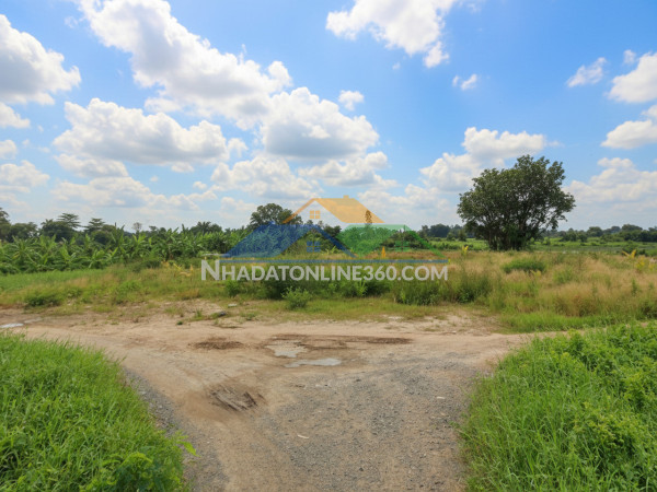 T1753 ???? đất thạnh xuân 52 hóc môn, shr, hxt, 55x51m, 16.x tỷ