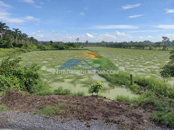 K1754 ✨ đất mặt tiền thạnh xuân 52 hóc môn, shr, 24x51m, 13.x tỷ