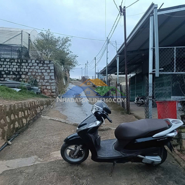 Đất đẹp – giá đầu tư  - cần bán lô đất  tại đường huỳnh tấn phát - phường 11, tp. đà lạt, lâm đồng