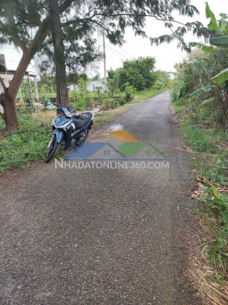 Chính chủ cần bán nhanh đất đẹp giá rẻ tại đông hải bạc liêu