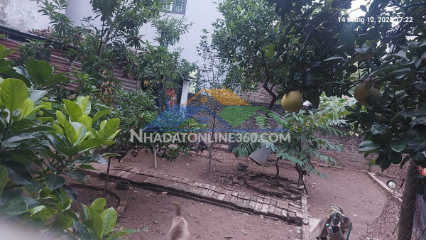 Cần bán gấp 120m2, mt12m, 8.16 tỷ đại mạch, đông anh (thiên lộc), gần ô tô tránh, gần nhiều tiện ích.