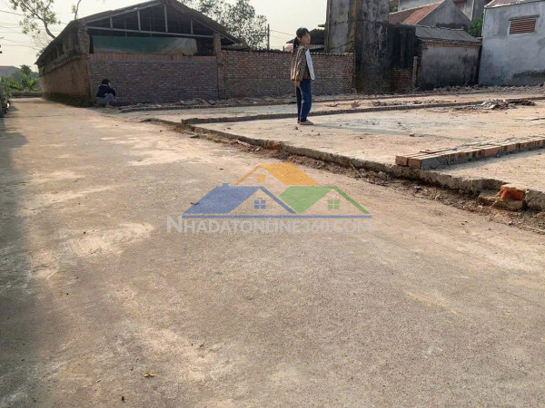 Chính chủ bán đất phả lê – việt hưng – văn lâm – hưng yên