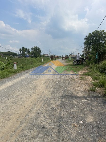 Siêu phẩm đất 4700m2 - tân thới nhì - hóc môn  shr, 25 tỷ. đầu tư, ngay chỉ 25 tỷ