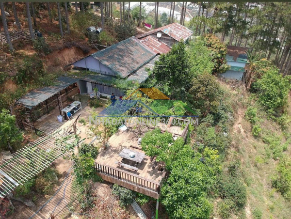 Cho thuê nhà nguyên căn phù đổng thiên vương p8 đà lạt - 5pn