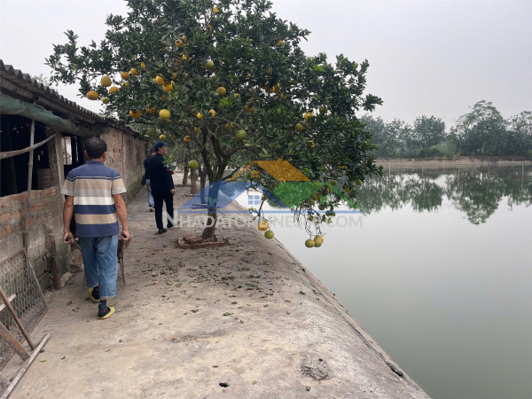 Đất đẹp - giá tốt chính chủ – chính chủ cần bán mảnh đất diện tích 6480m2 xã đông lỗ, ứng hòa