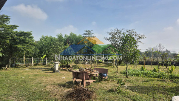 Bán đất Phường Long Bình Tân diện tích 1ha giá chỉ 30 tỷ