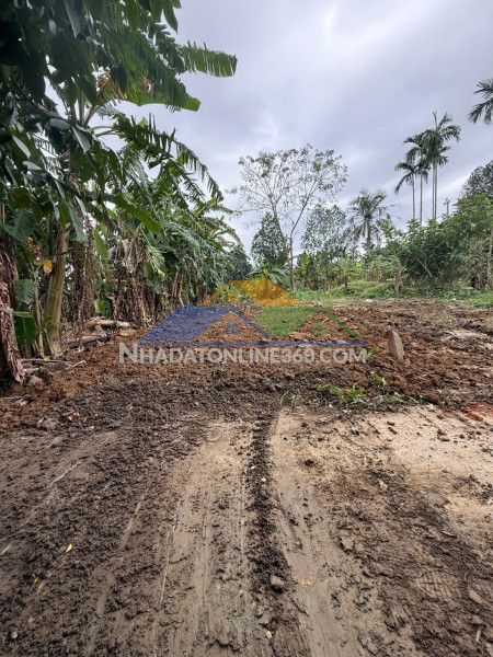 Đất đẹp- giá tốt - cần bán lô đấttại thôn mỹ an, xã đại quang, đại lộc, quảng nam