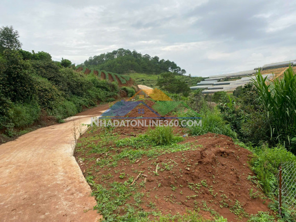 Sở hữu ngay lô đất đẹp - giá tốt - vị trí đắc địa tại đa quý, xã xuân thọ, tp đà lạt, lâm đồng