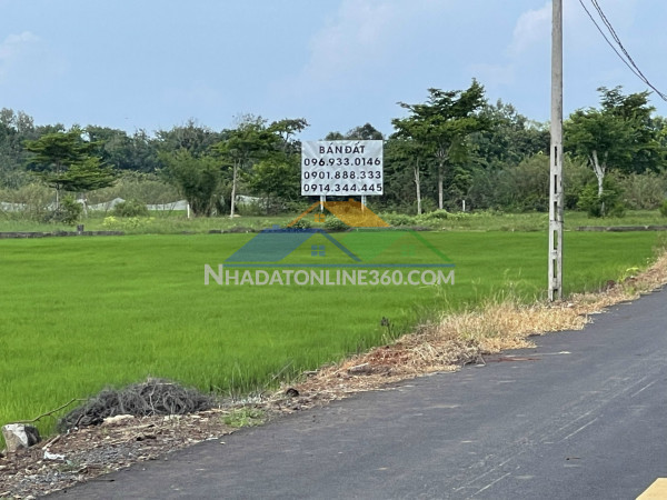 Cc bán rẻ đất dự án khu đô thị, villa, khách sạn tại phước...