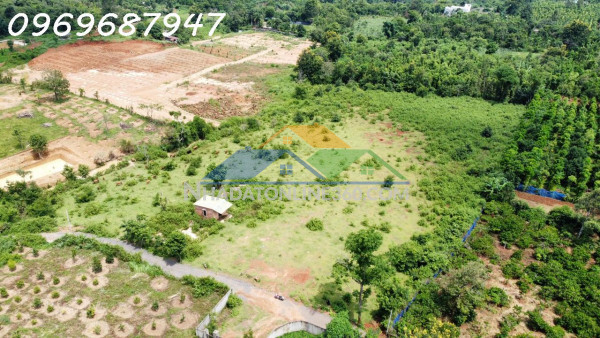 Lô đất đỏ 1.3 hecta - phường eakao - t. đăk lăk - 750tr/ sào