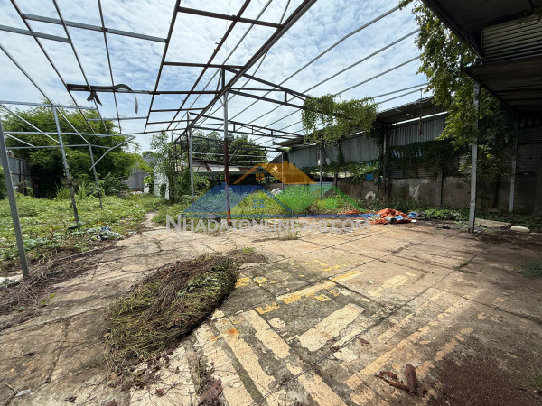 Chủ gửi 8 lô đất hóc môn – mặt tiền đông thạnh 7-3, hóc môn