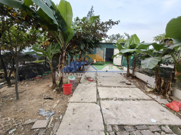 Đất ruộng sxnn, 243m2, mt10m, 1.25 tỷ, 3 xe ô tô tránh, vỉa hè, nhà c4. kim chung, đông anh.