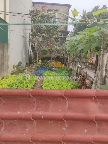 Bán gấp giá rẻ trương định 14m/19m,3 tầng,mặt tiền1m/3m,1.78 tỷ hoàng mai.