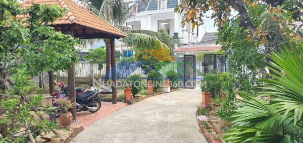 Căn hộ biển ngay trung tâm nha trang. ban công rộng view biển giá siêu rẻ