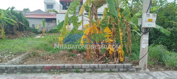 Đất tân thành – dương kinh – 100m² ngang 5m – trục ngõ 5m đẹp – giá hiếm  zalo 0567 222 555