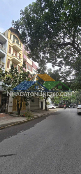 ???? mặt phố sơn tây, ba đình 65m2 7 tầng thang máy, ở và kd, lô góc, chỉ 27.5 tỷ????