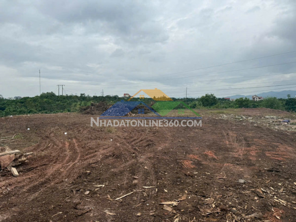 Đất nền chũ bắc ninh giá 580 triệu  480m2  đầu tư tốt  nguyễn hùng bđs - 0989333012