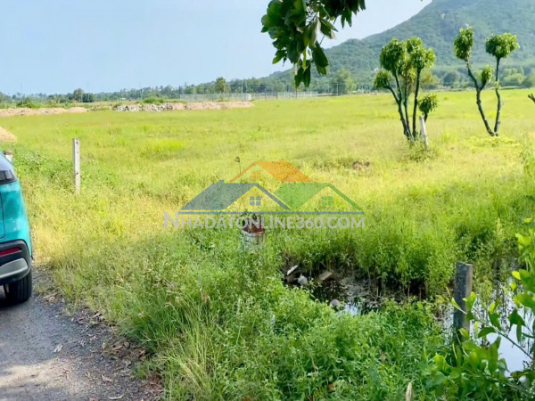 T1885 ???? 1873m2 đất long mỹ bà rịa - vũng tàu, shr, hxh, 8.x tỷ