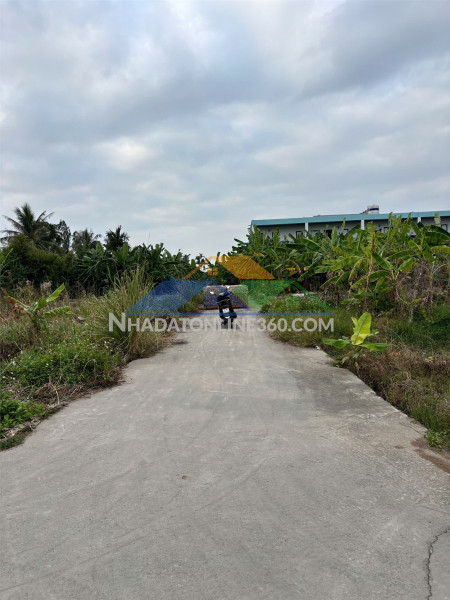 Đất thổ cư 87m² quý kim – hợp đức – đồ sơn  cách đường 353 hơn 100m  giá đầu tư hiếm khu dân cư  zalo 0567 222 555