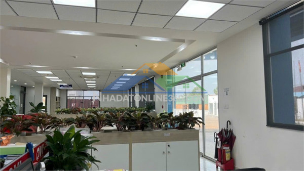 Xt463 cho thuê kho ngoại quan, xưởng sản xuất công nghệ cao,...