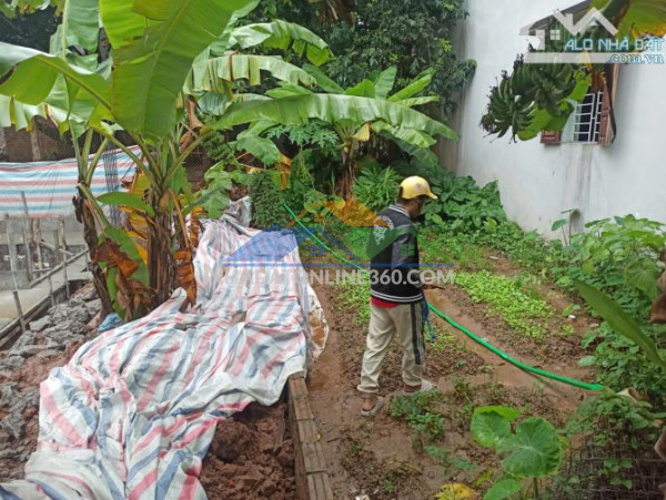 Chính chủ tìm chủ mới cho lô đất siêu đẹp ở ngõ 12a, đường an thượng, xã đông la, hoài đức